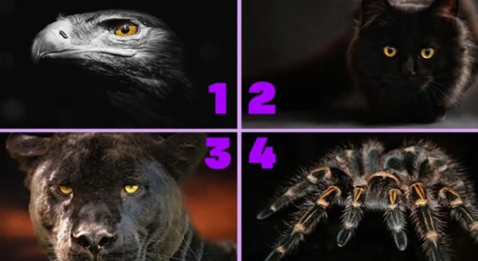 Test podsvijesti sa četiri životinje: Odaberite jednu i saznajte koja je mračna strana vaše ličnosti