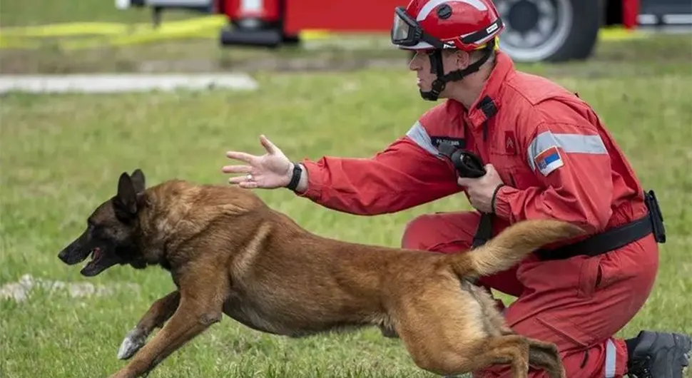 Пас који је трагао за људима у рушевинама у Турској, креће у потрагу за малом Данком