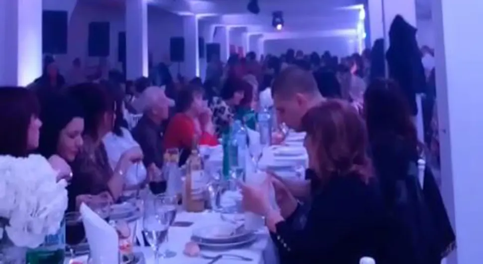 Фешта.webp