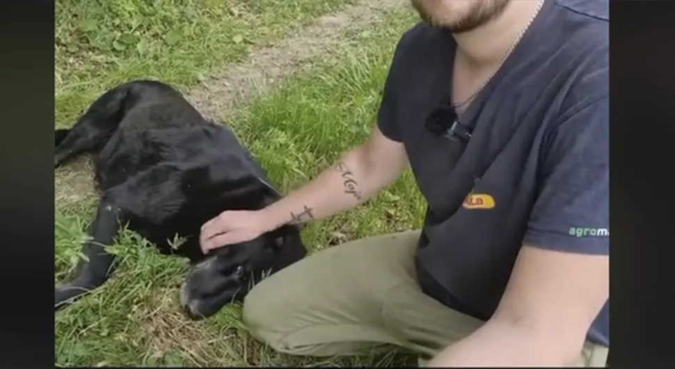 Pas mu spasio život, a sada vlasnik traži pomoć za njega