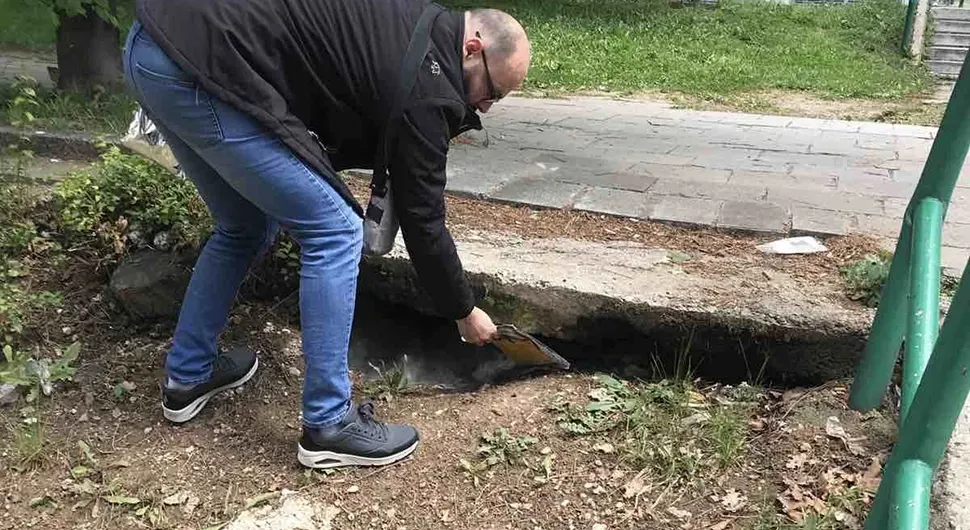 Najezda zmija u bh- gradu - nema reakcije nadležnih uprkos molbi