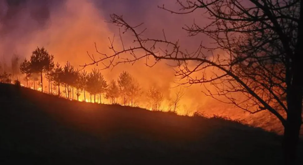 Uviđaj požara u kome je izgorjelo 20 hektara niskog rastinja i šume