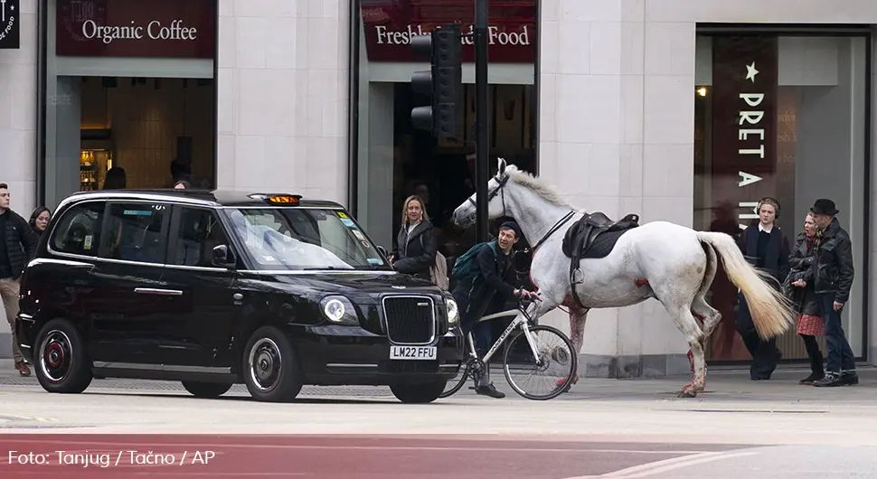 Коњи побјегли са вјежбе, јуре центром Лондона