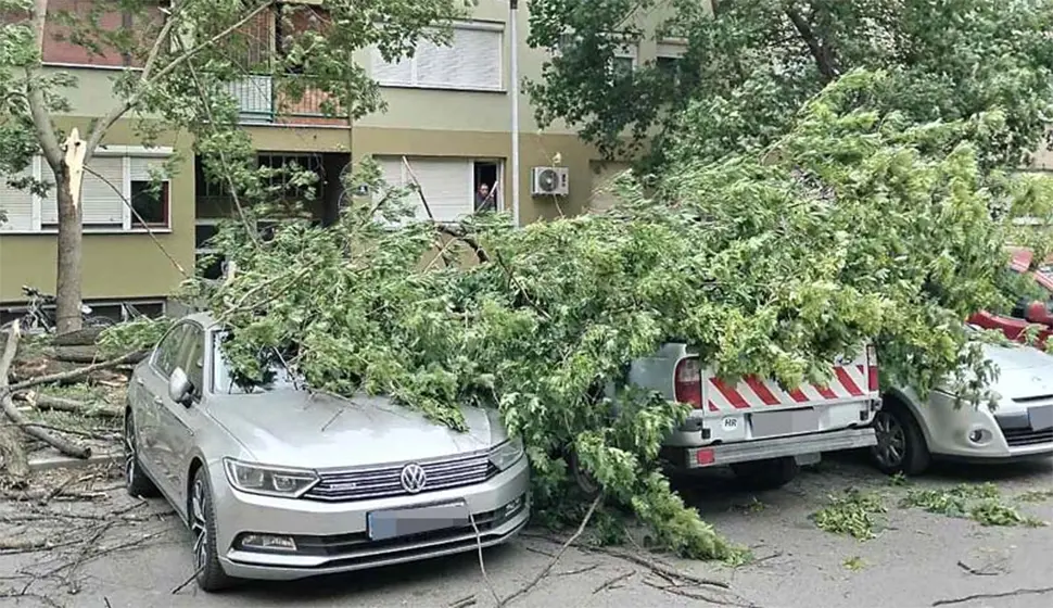 Хаос у Хрватској због невремена: Ишчупана стабла и снијег