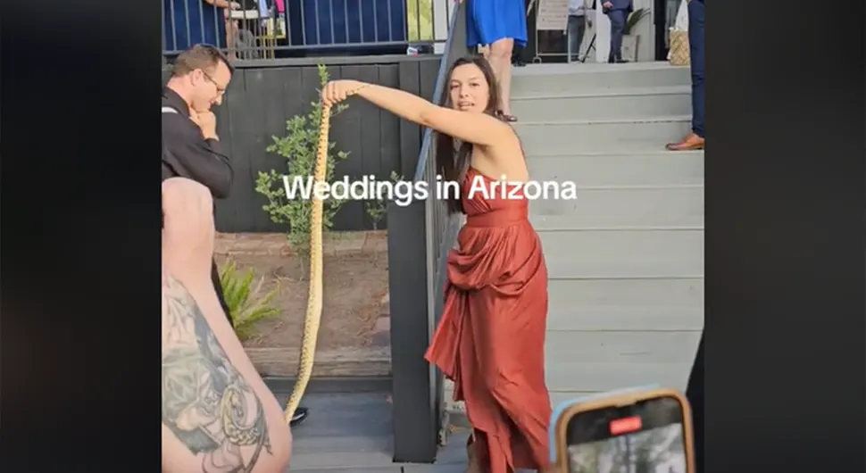 Ogromna zmija prekinula vjenčanje