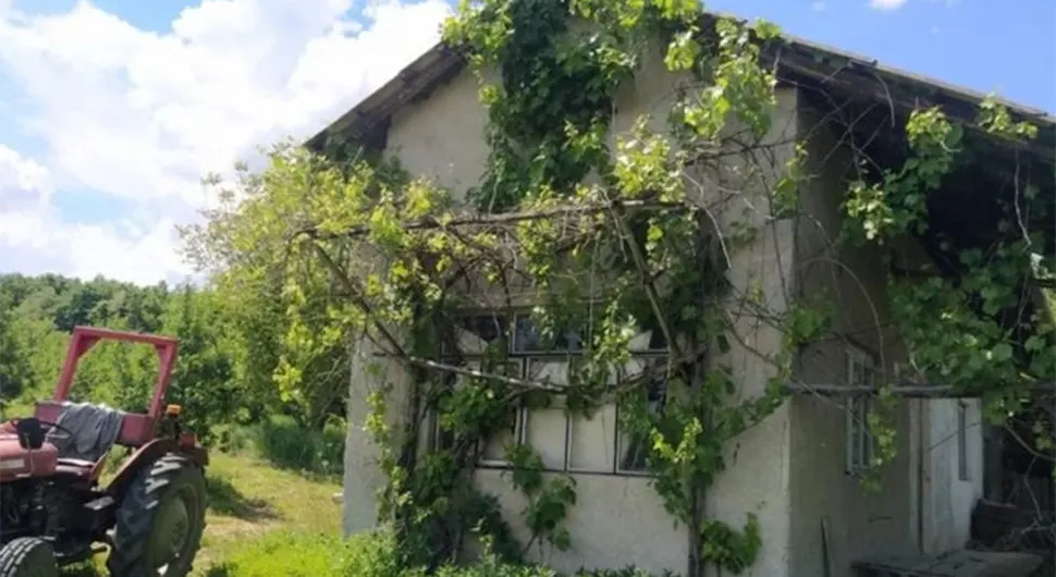 Продаје имање као из бајке са 1.000 стабала вишње - ово је цијена