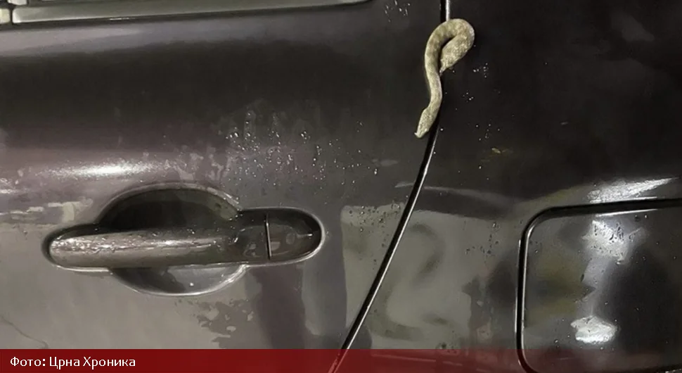 Vatrogasci sve češće izvlače zmije iz automobila