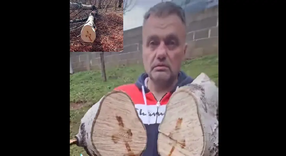 Божији знак у Бањалуци: Бошко пресјекао дрво, а на њему се указао крст - ВИДЕО