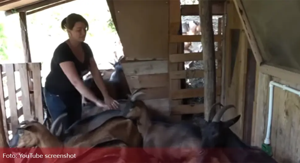 Напустила посао и отишла на село да узгаја козе