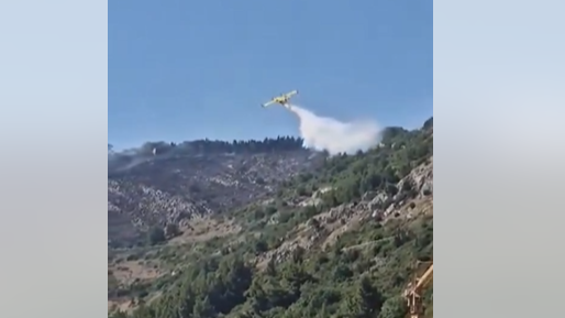 Lokalizovan požar iznad Dubrovnika, pomogli i kanaderi (VIDЕO)
