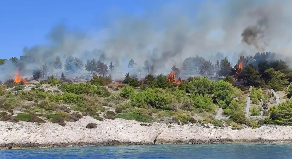 brač.webp