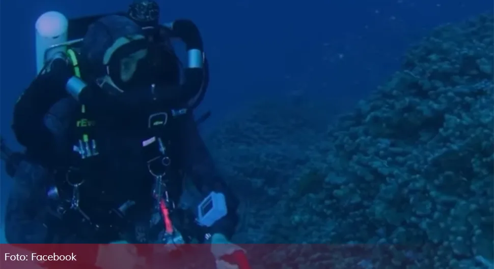 Pronađen najveći koral na svijetu: Veći i od plavog kita