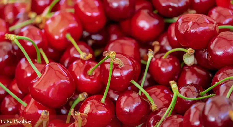 Cijena kilograma trešanja na tezgama i do 30 evra