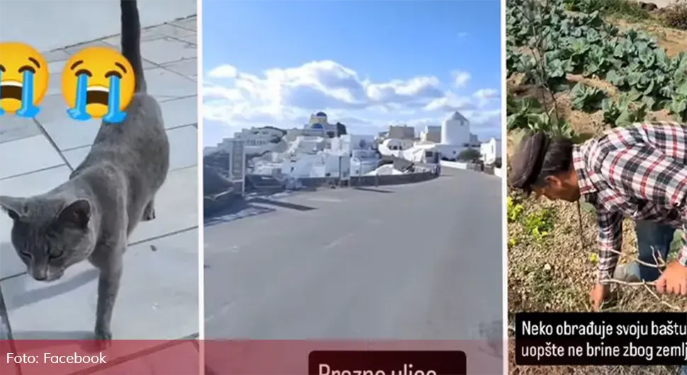 Nevjerovatne scene na Santoriniju: Jauci ostavljenih životinja odzvanjaju, turisti i dalje dolaze