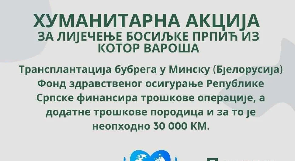 босилјка.webp