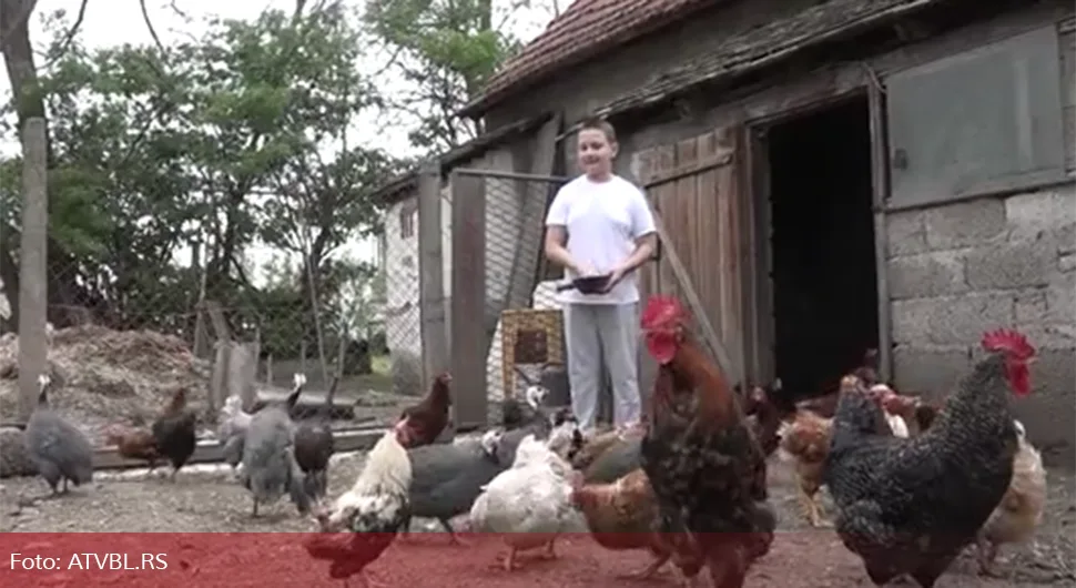 Dječak Mišo (11) mašta o svojoj farmi: Od ušteđevine kupio koke