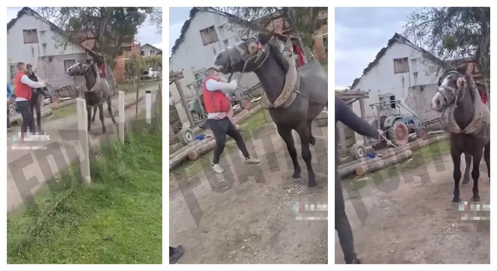 Uznemirujući video iz Prijedora: Brutalno tukli konja, narod zgrožen!