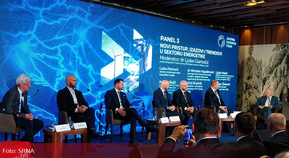 Petrović: Važna diverzifikacija proizvodnih sistema