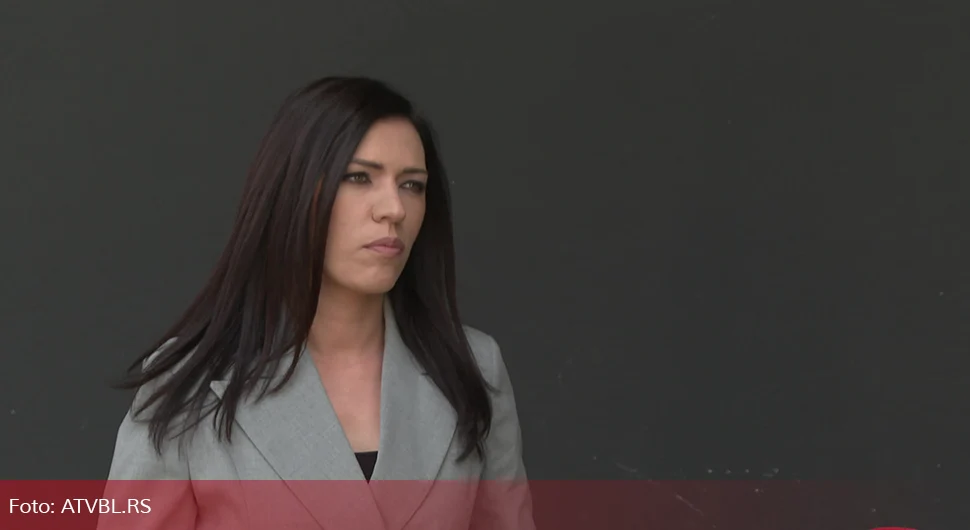 Вулић: Измјене закона о Савјету министара, распакивање Дејтона