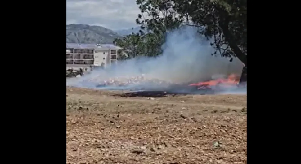 Gori park šuma kod Pogorice, vatra se približila kućama