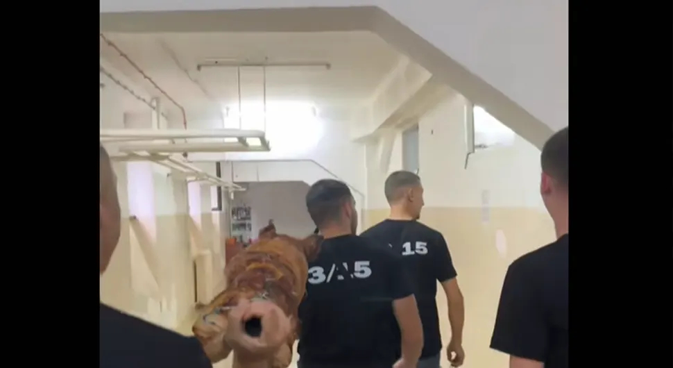 У школу донијели печено прасе ''да поправе оцјене''