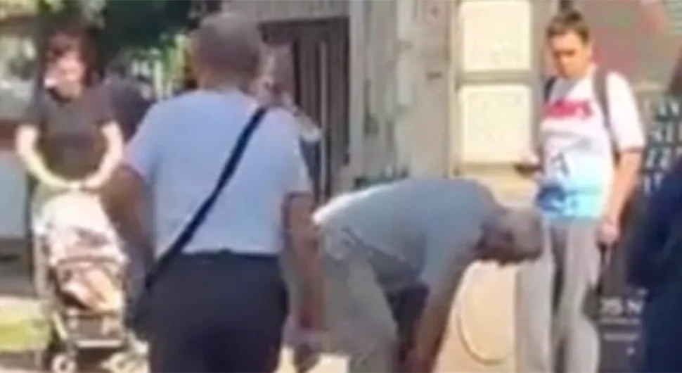 6842b9466be28-змија.webp