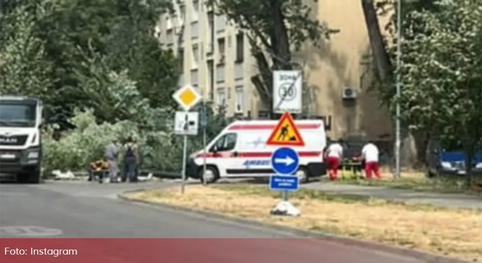 Стабло пало на дијете (8) и жену током невремена