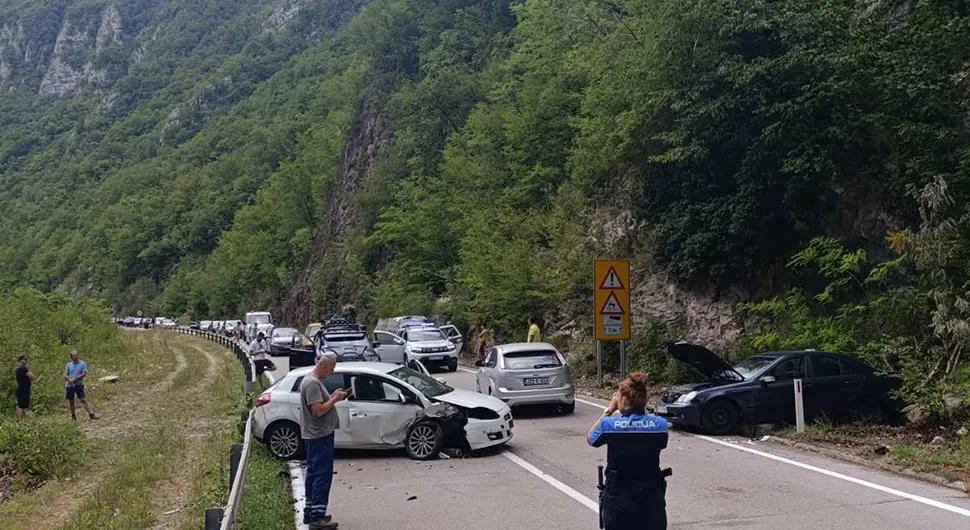 vlasinje.webp