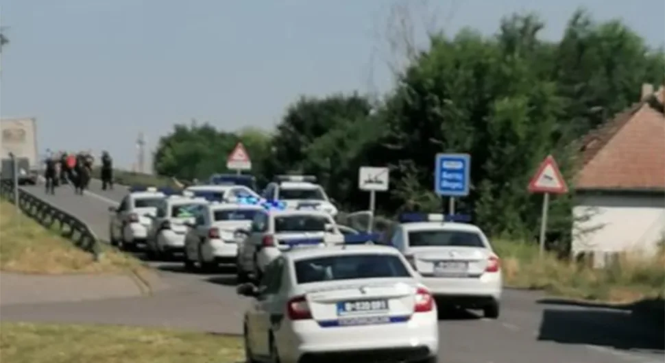потјера.webp