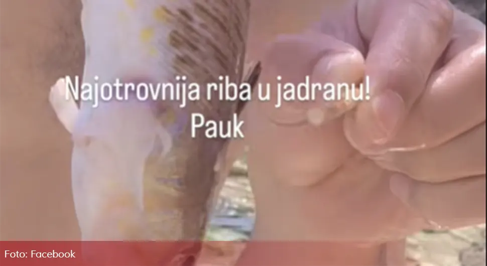 риба.webp
