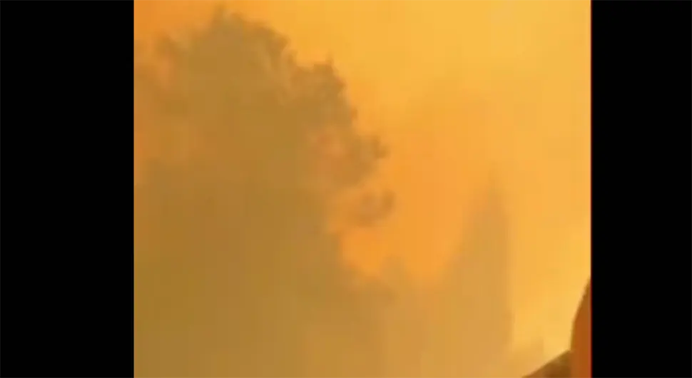 Zastrašujući snimci požara iz Crne Gore: Vatra guta sve pred sobom