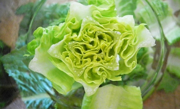 zelena-salata.jpg